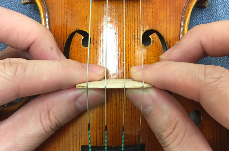 小提琴知識(shí)：什么是琴碼？如何挑選好的琴碼